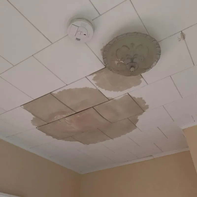 Ceiling Water Damage Repair in Whiteman Air Force Base, MO