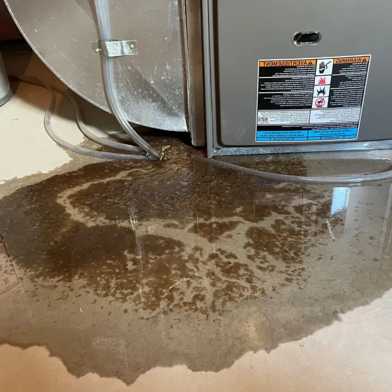 Pipe Burst and Leak Restoration in Whiteman Air Force Base, MO