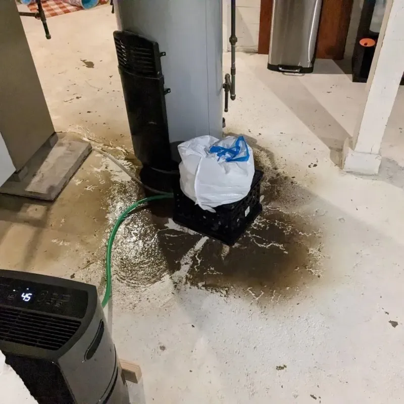 Sewage Backup Cleanup Service in Whiteman Air Force Base, MO